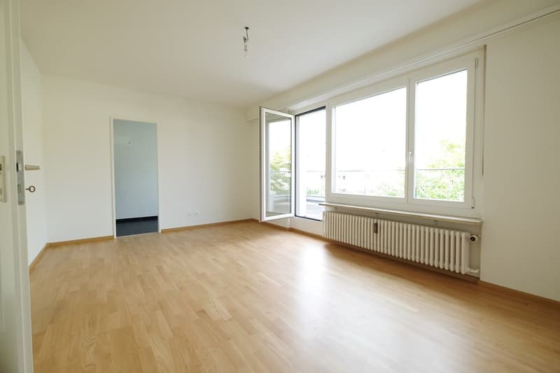 Moderne 1-ZimmerDACHwohnung mit riesigem Dachbalkon (2)