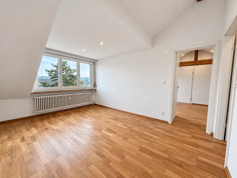 Erstbezug - Stilvoll renovierte 2.5-Zimmerwohnung im Dachgeschoss (12)