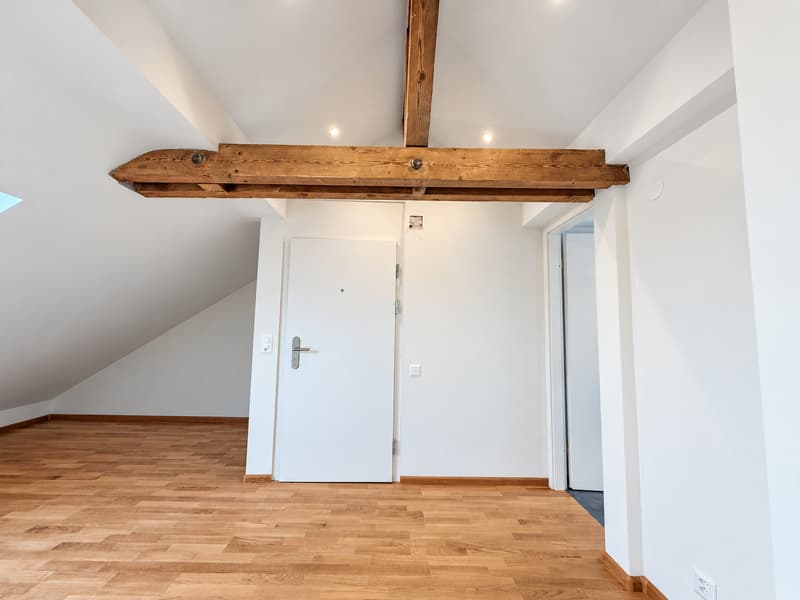 Erstbezug - Stilvoll renovierte 2.5-Zimmerwohnung im Dachgeschoss (9)