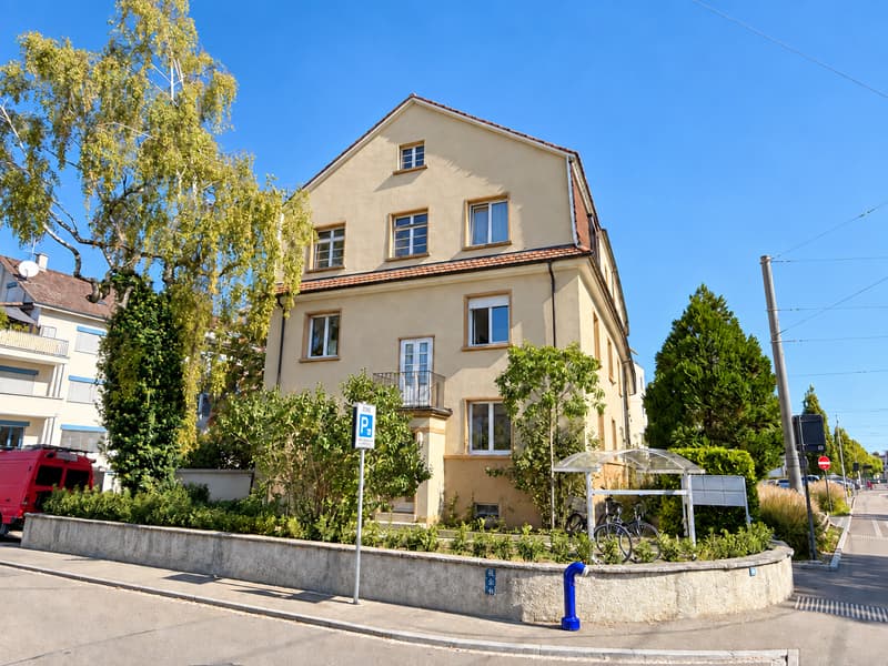 Erstbezug - Stilvoll renovierte 2.5-Zimmerwohnung im Dachgeschoss (17)