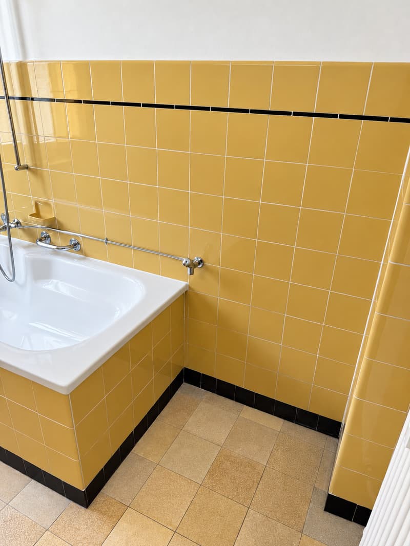 Traumhafte 2-Zimmerwohnung mit grossem Balkon in gepflegtem Altbau (4)