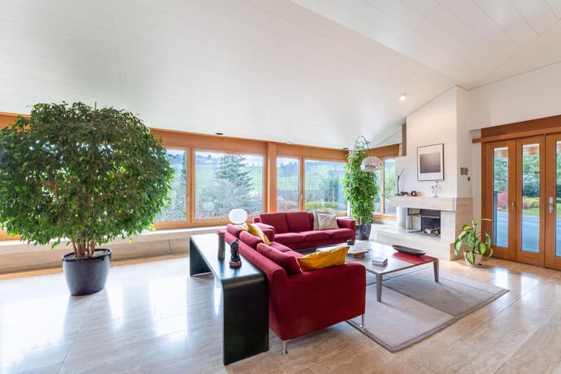 Villa with Panoramic View & Guest Apartment (5)
