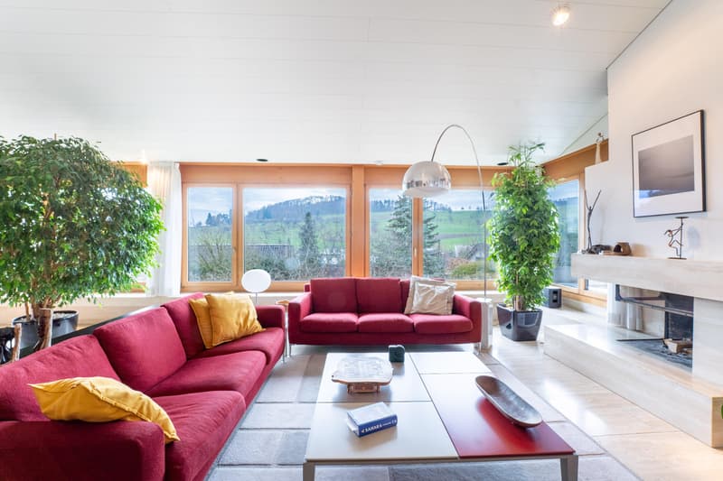 Villa with Panoramic View & Guest Apartment (4)