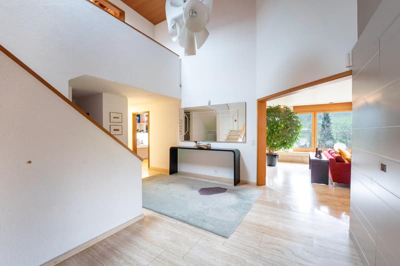 Villa with Panoramic View & Guest Apartment (3)