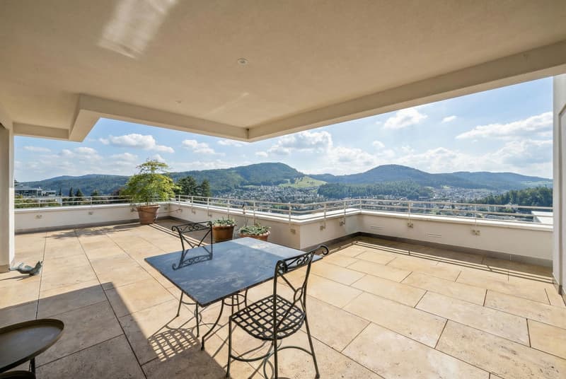 Appartement penthouse sur Liestal - Exclusivité avec vue panoramique (4)