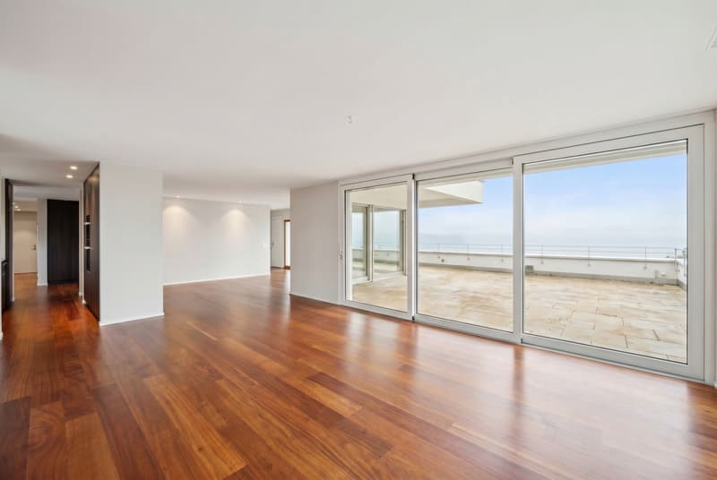 Appartement penthouse sur Liestal - Exclusivité avec vue panoramique (2)