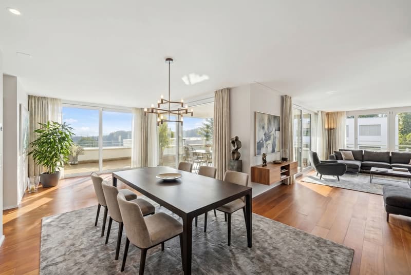 Appartement penthouse sur Liestal - Exclusivité avec vue panoramique (5)