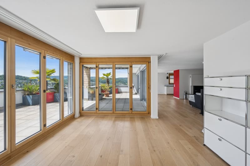 Appartement terrasse ensoleillée avec vue panoramique (3)