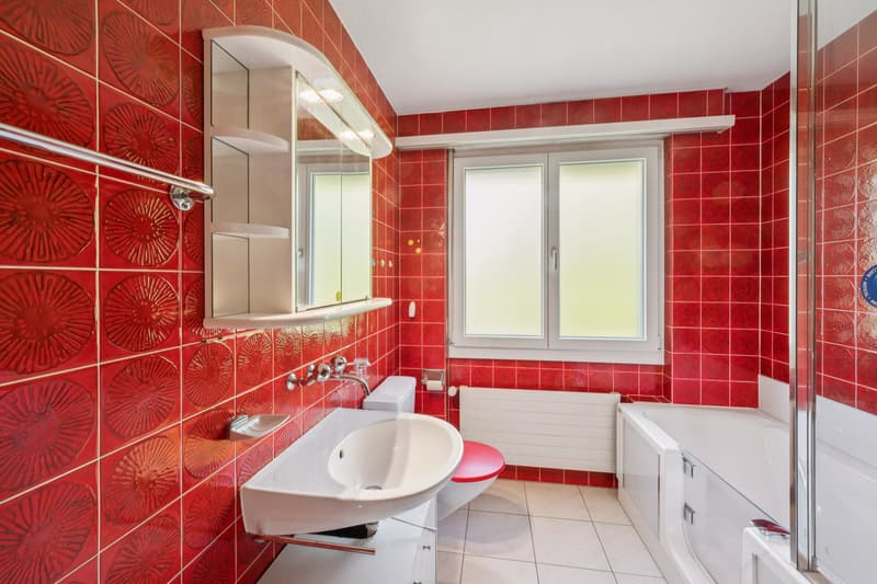 Charming semi-detached house with garden (9)