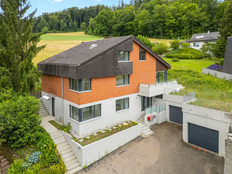 Modernes Einfamilienhaus mit Einliegerwohnung (1)