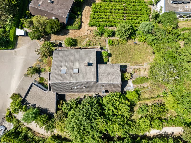 Bauland und Wohnhaus - Investition mit doppeltem Potenzial (4)