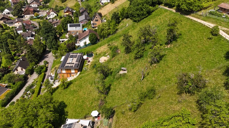 Attraktives Bauland in Hanglage in Ziefen (3)