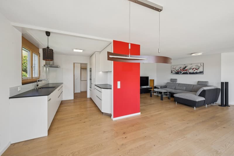 Sonnige Terrassenwohnung mit Panoramablick (3)