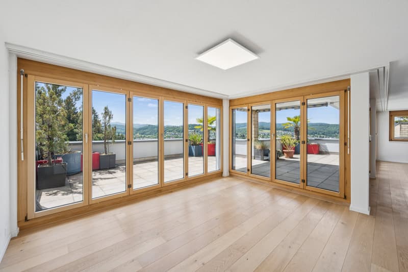Sonnige Terrassenwohnung mit Panoramablick (2)