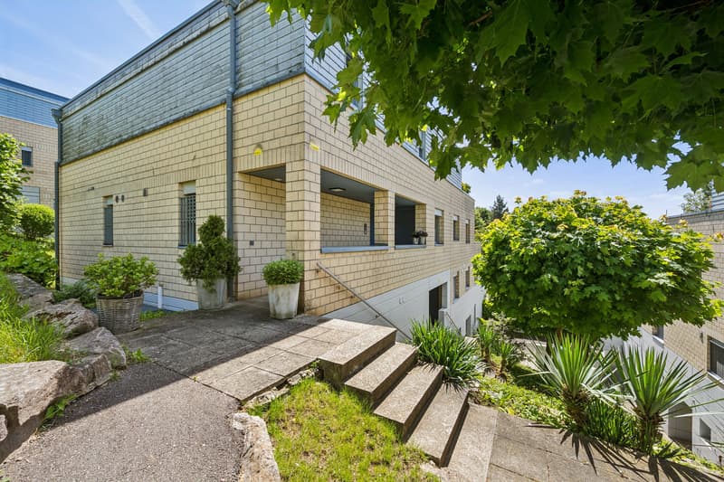 Sonnige Terrassenwohnung mit Panoramablick (10)