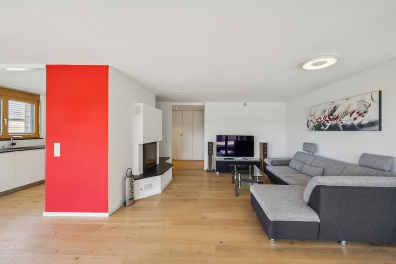 Sonnige Terrassenwohnung mit Panoramablick (6)
