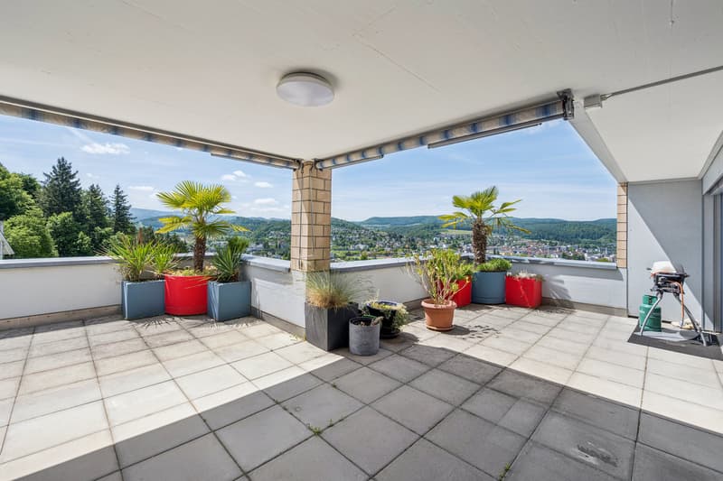 Sonnige Terrassenwohnung mit Panoramablick (8)