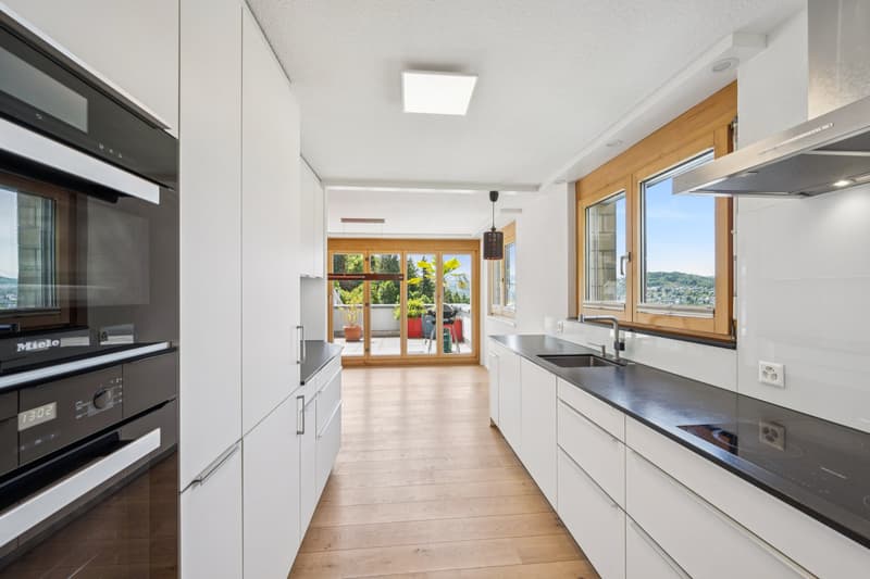 Sonnige Terrassenwohnung mit Panoramablick (5)
