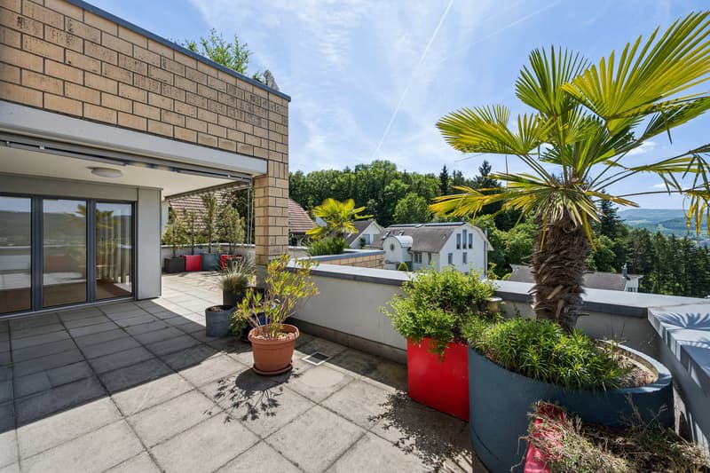 Sonnige Terrassenwohnung mit Panoramablick (9)