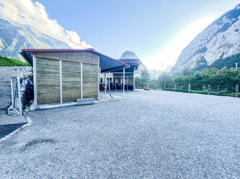 Paradis équestre dans le Simmental - Berner Oberland (22)