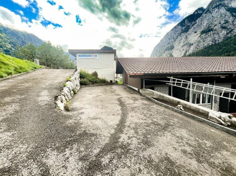 Paradis équestre dans le Simmental - Berner Oberland (25)