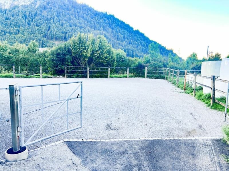 Paradis équestre dans le Simmental - Berner Oberland (24)