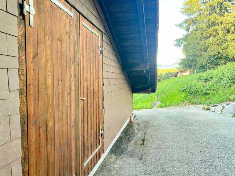 Paradis équestre dans le Simmental - Berner Oberland (31)
