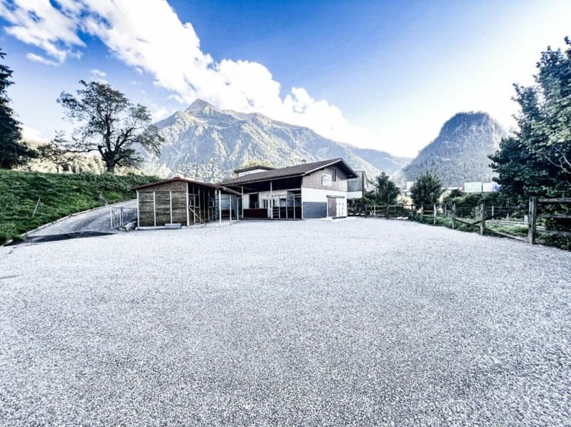 Paradis équestre dans le Simmental - Berner Oberland (2)