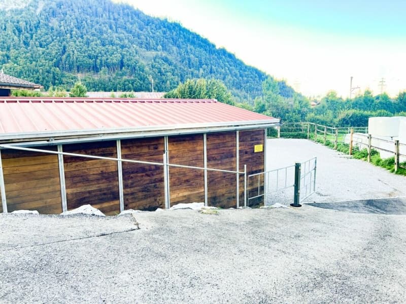 Paradis équestre dans le Simmental - Berner Oberland (27)