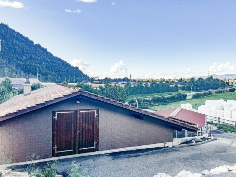 Paradis équestre dans le Simmental - Berner Oberland (30)
