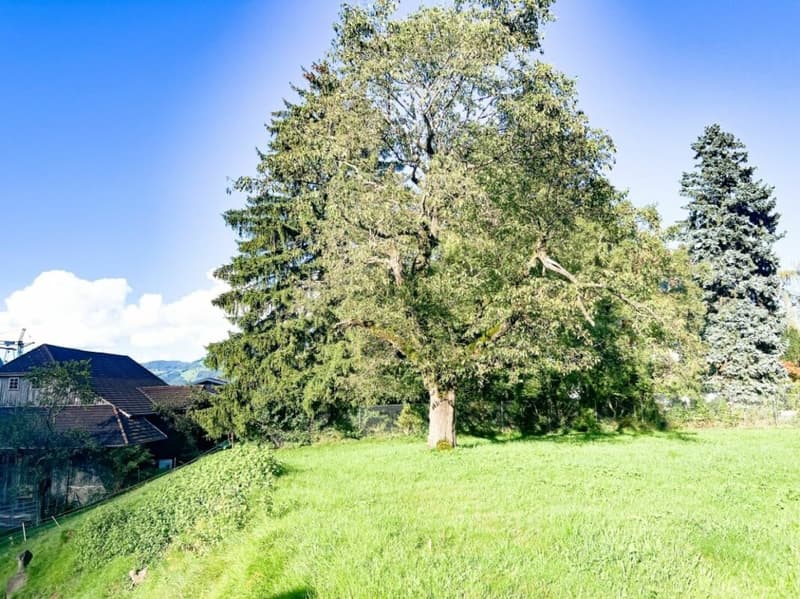 Paradis équestre dans le Simmental - Berner Oberland (34)