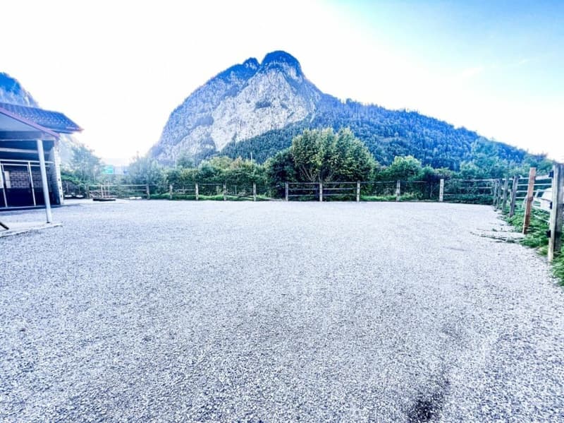 Paradis équestre dans le Simmental - Berner Oberland (23)