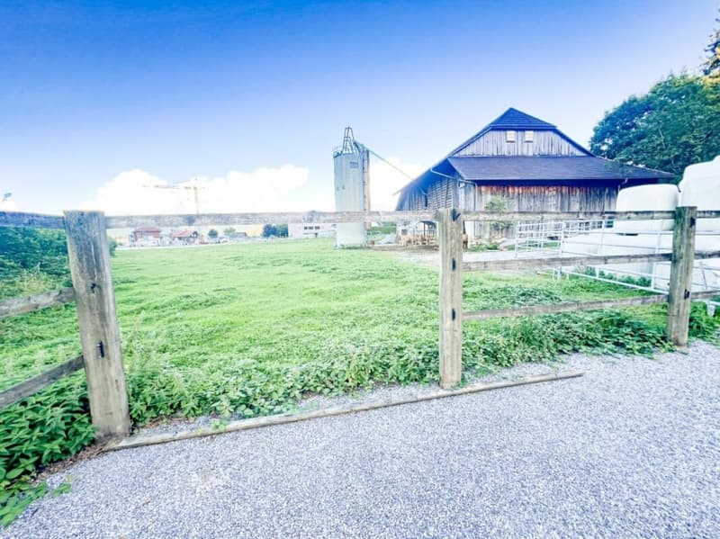 Paradis équestre dans le Simmental - Berner Oberland (33)