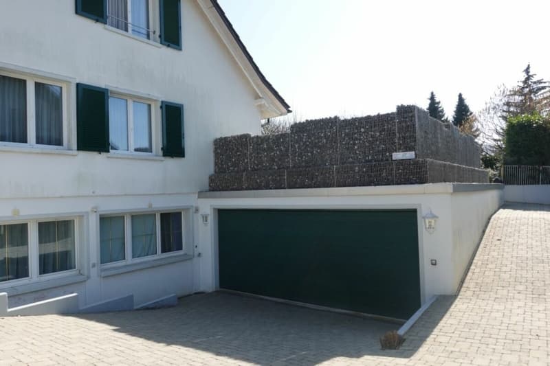 Single-family house with large garden (7)