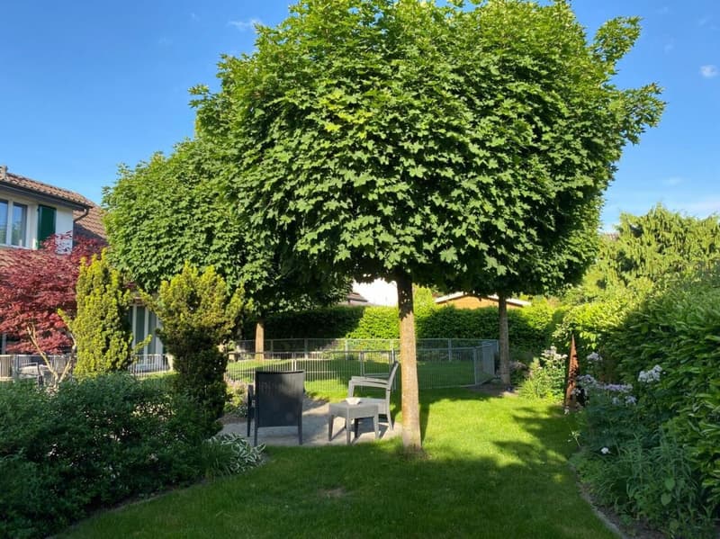 Single-family house with large garden (13)