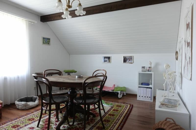 Single-family house with large garden (33)