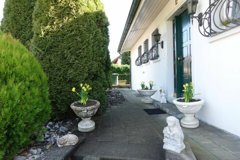 Single-family house with large garden (8)