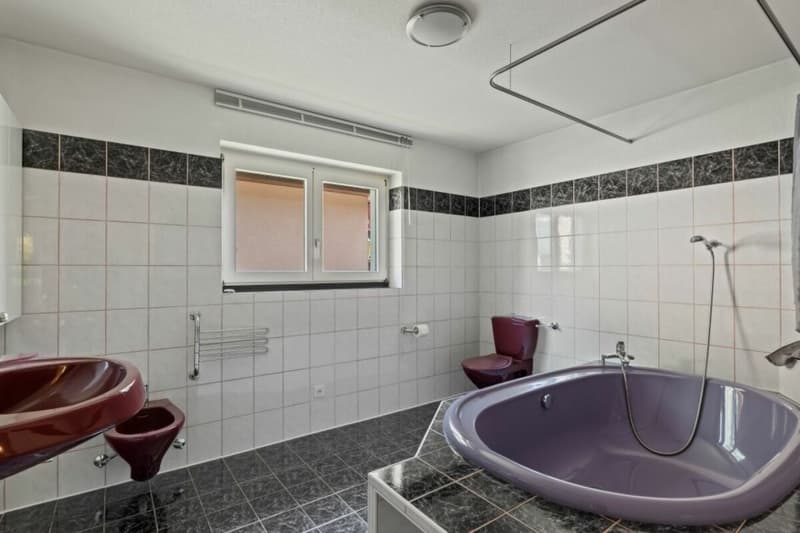 Living in a quiet location with plenty of privacy in sunny Ticino (18)