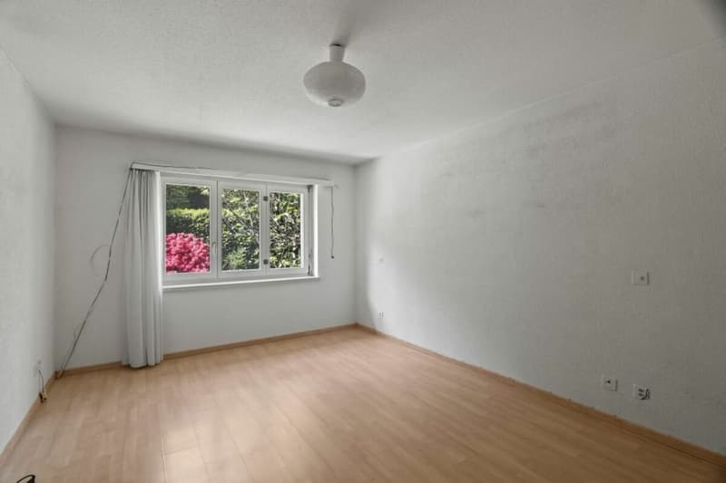 Living in a quiet location with plenty of privacy in sunny Ticino (21)