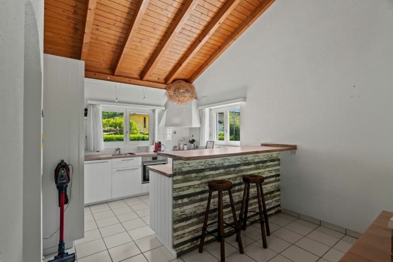 Living in a quiet location with plenty of privacy in sunny Ticino (11)