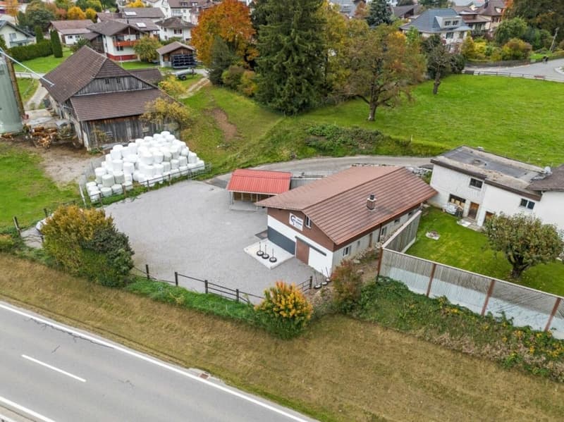 Offerta Top! Paradiso dei cavalli nel Simmental - Oberland bernese (4)