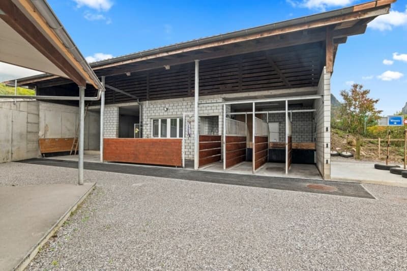 Offerta Top! Paradiso dei cavalli nel Simmental - Oberland bernese (3)