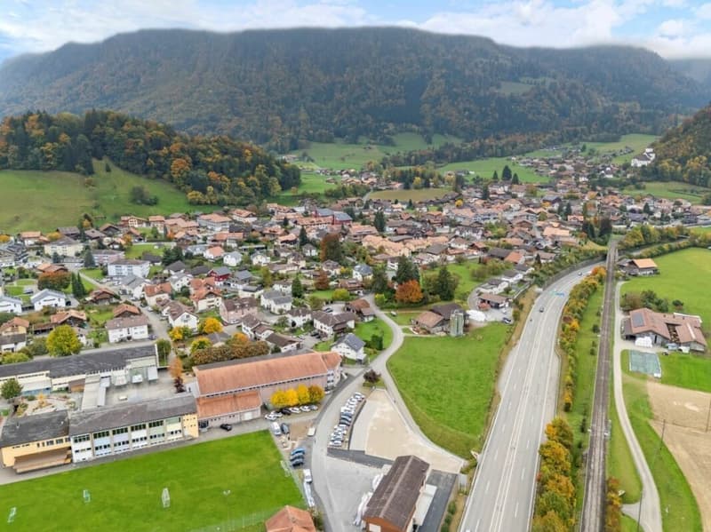 Offerta Top! Paradiso dei cavalli nel Simmental - Oberland bernese (21)