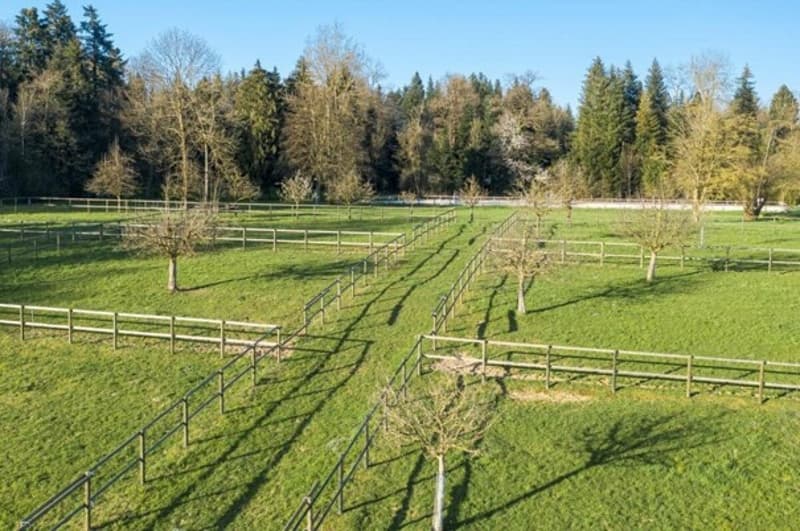 Immobile equestre con appartamento/stanza singola e arena di equitazione (6)