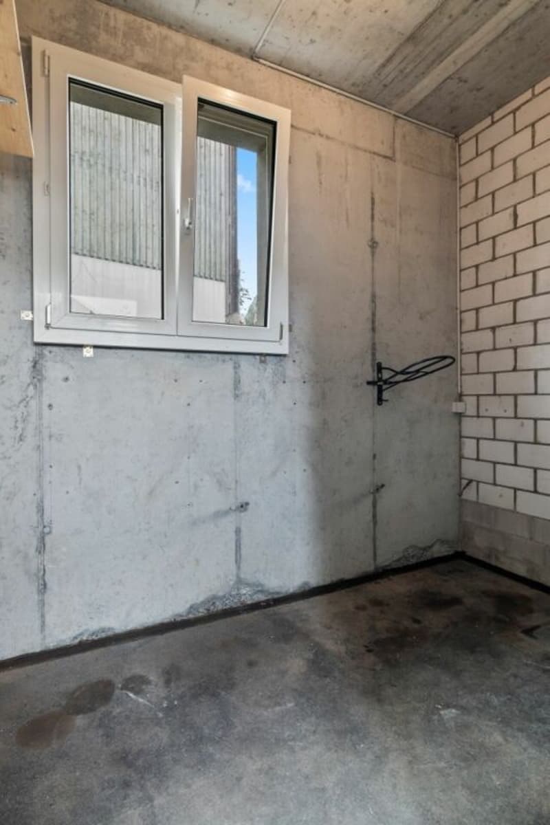 Offerta top! Paradiso dei cavalli nel Simmental - Oberland bernese (13)