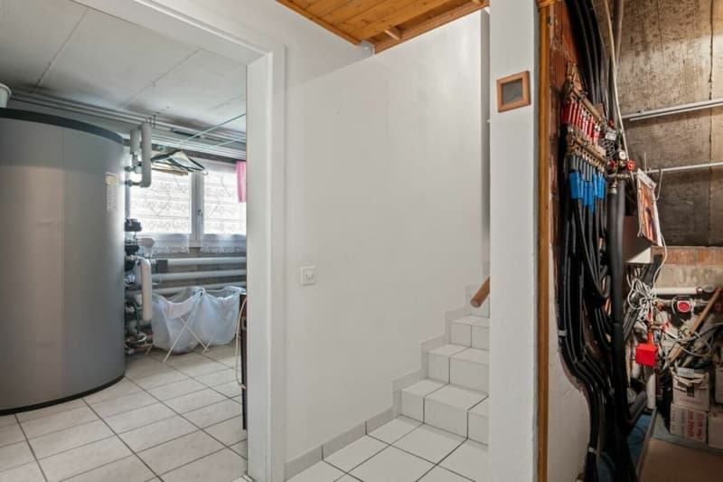 Living in a quiet location with plenty of privacy in sunny Ticino (28)