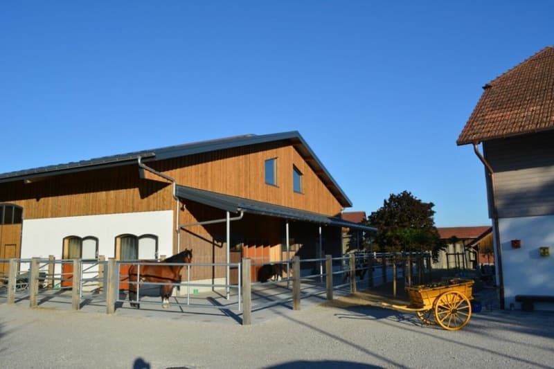 Queens Ranch Academy (2)
