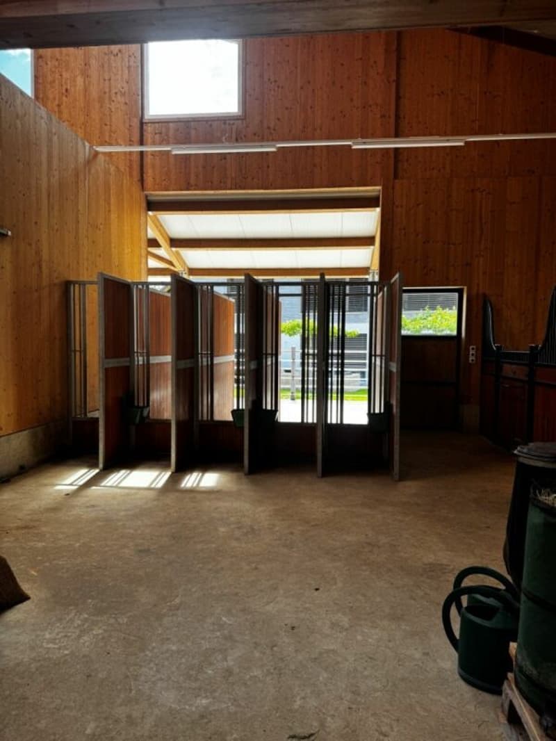 Queens Ranch Academy (12)