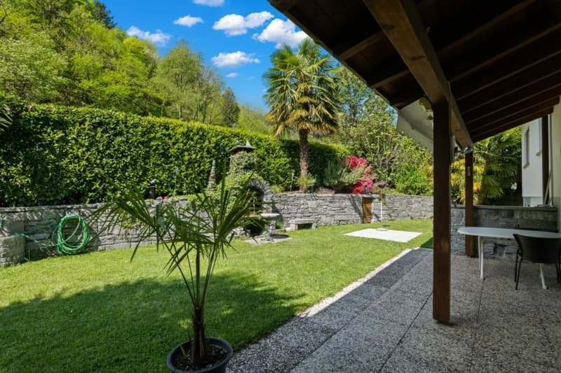 Vivere in una posizione tranquilla con molta privacy nel Ticino soleggiato (6)