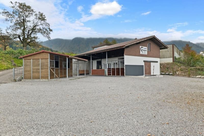 Offre exceptionnelle ! Paradis équestre dans le Simmental - Oberland bernois (1)